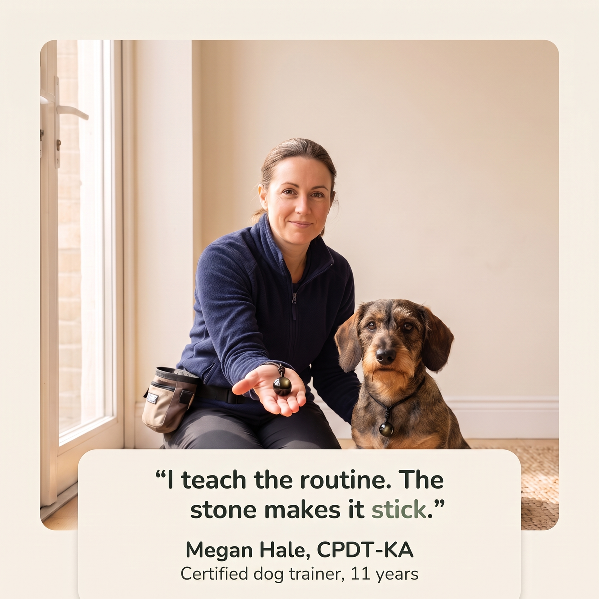 The trainer: I teach the routine